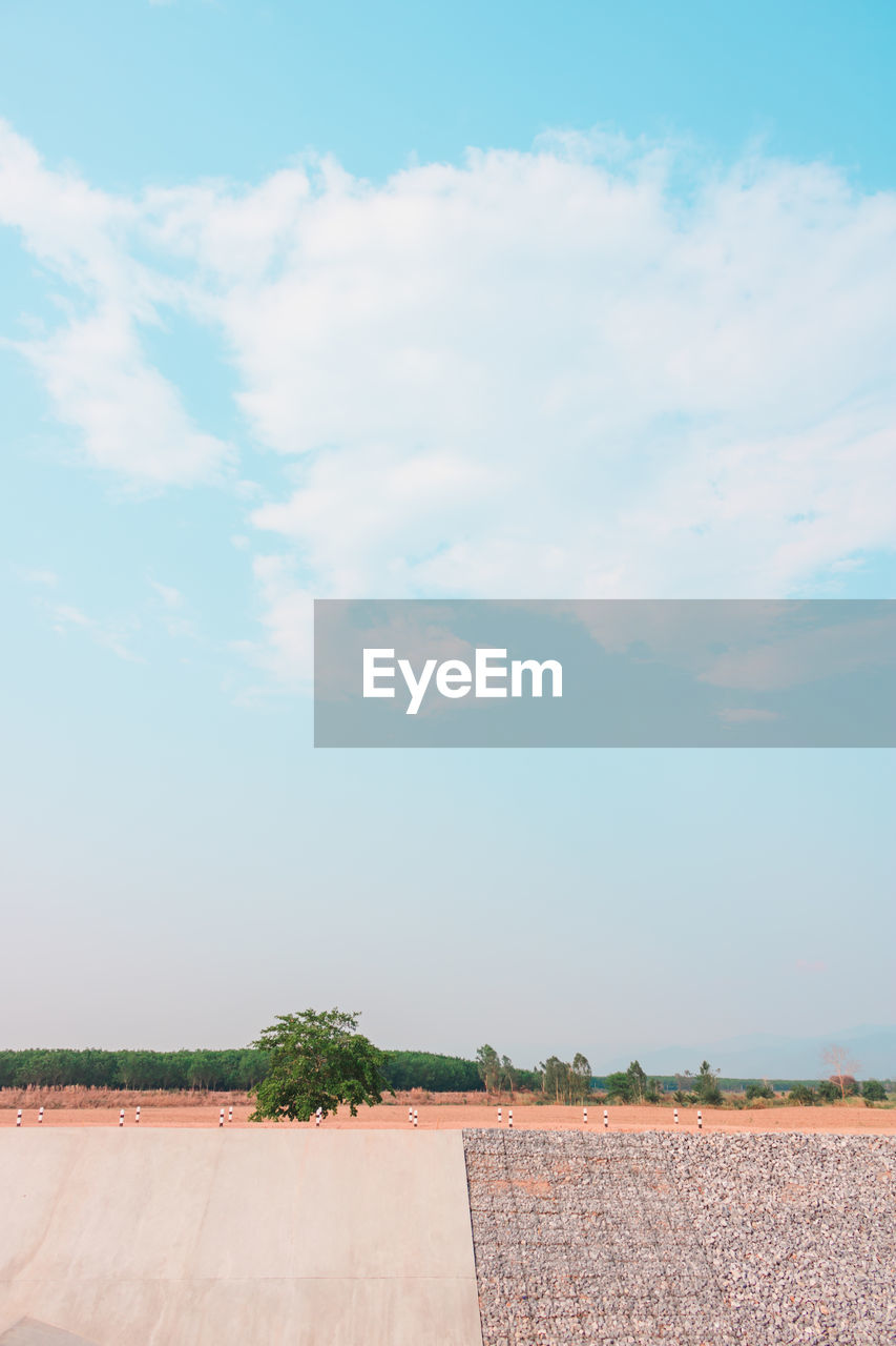 A view of a tree with a background in the sky with white clouds floating.minimal concept.