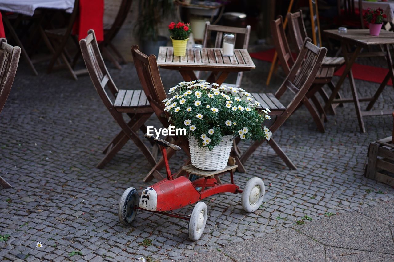 Potted plant on toy car against chairs at cafe