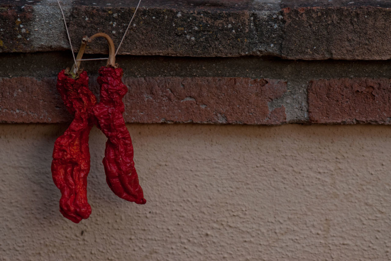 CLOSE-UP OF DRYING AGAINST WALL