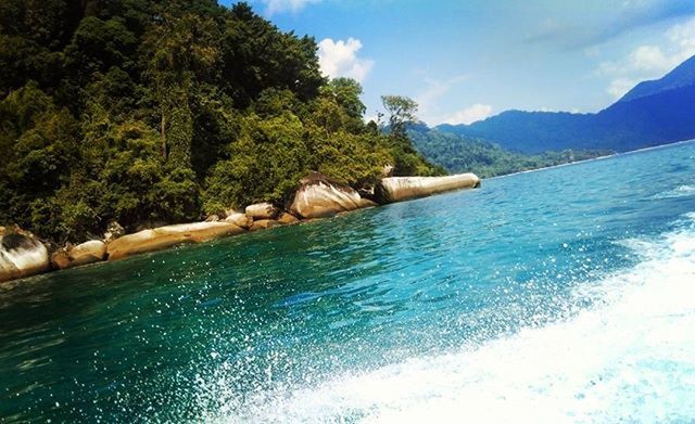 SCENIC VIEW OF SEA WITH TREES IN BACKGROUND