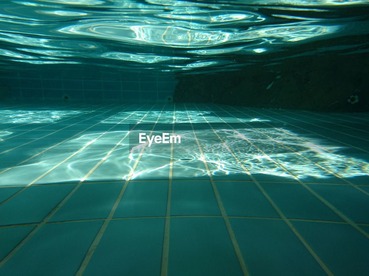 CLOSE-UP OF SWIMMING IN POOL