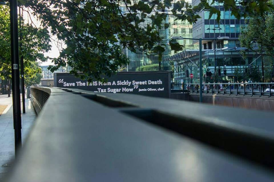 VIEW OF TREES IN FRONT OF BUILDING