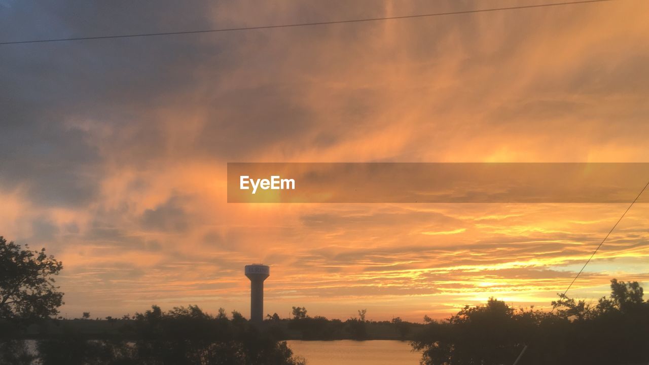 SILHOUETTE OF TREES AT SUNSET