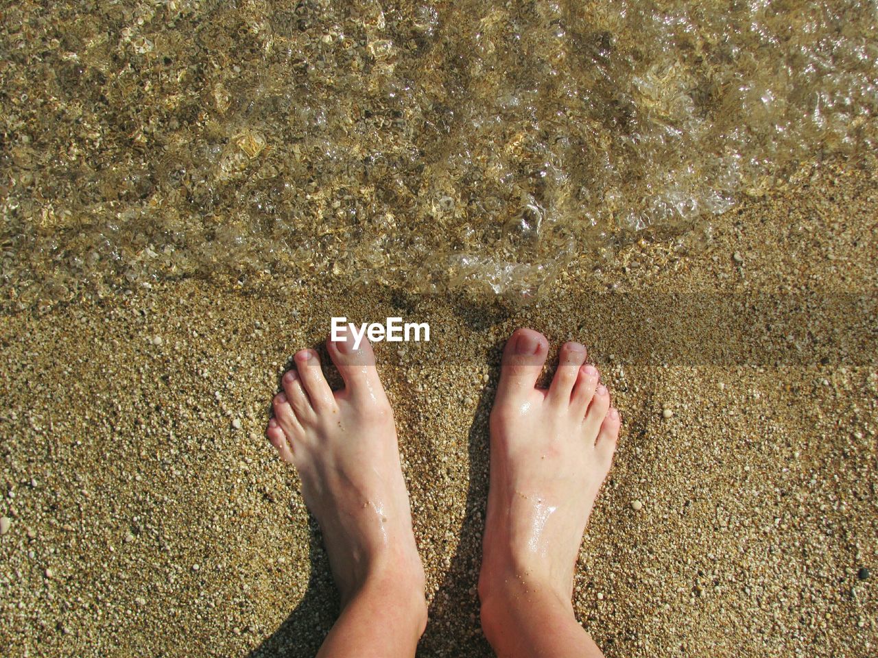 Low section of person standing on shore