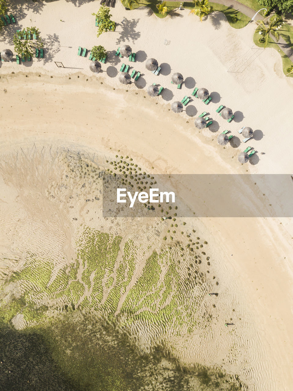 Aerial view of rows of beach umbrellas and empty deck chairs on sandy beach in summer