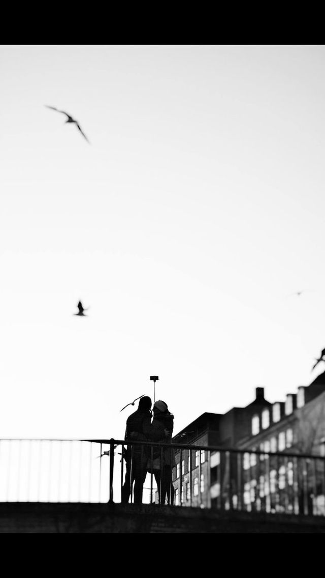 LOW ANGLE VIEW OF BIRDS PERCHING ON WALL