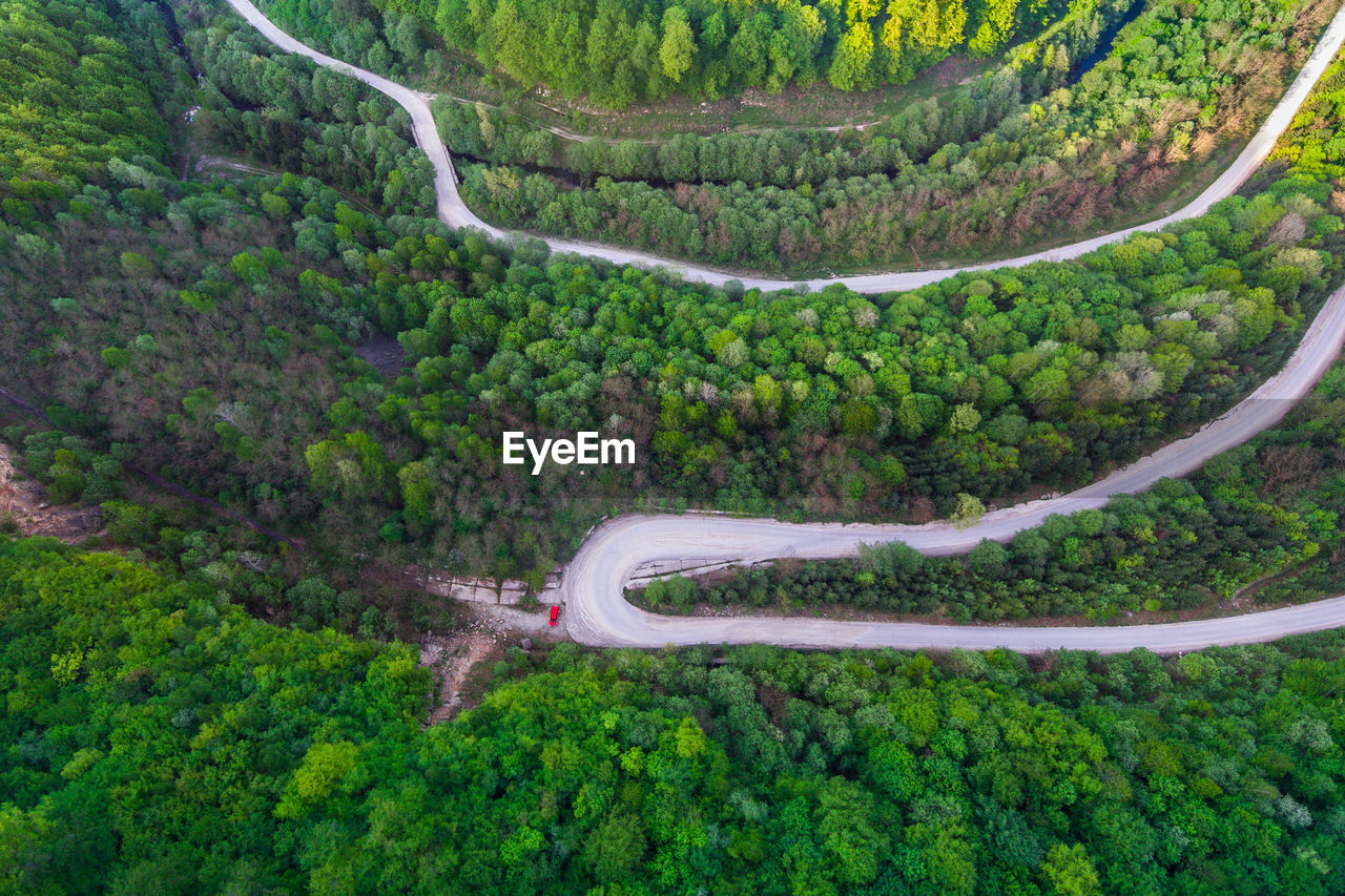 High angle view of road amidst trees in forest