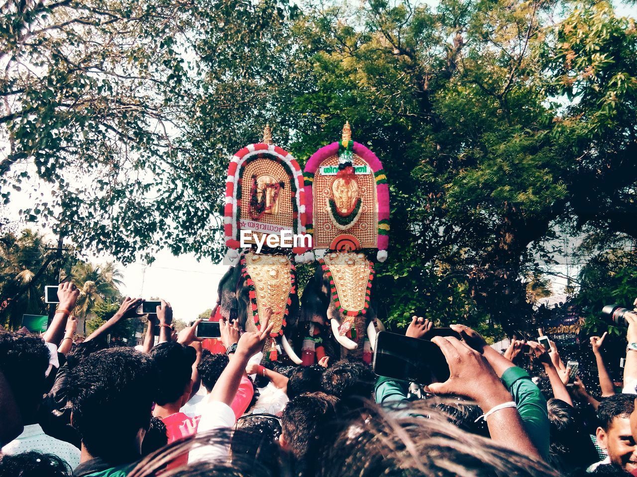 People standing against decorated elephants during pooram festival