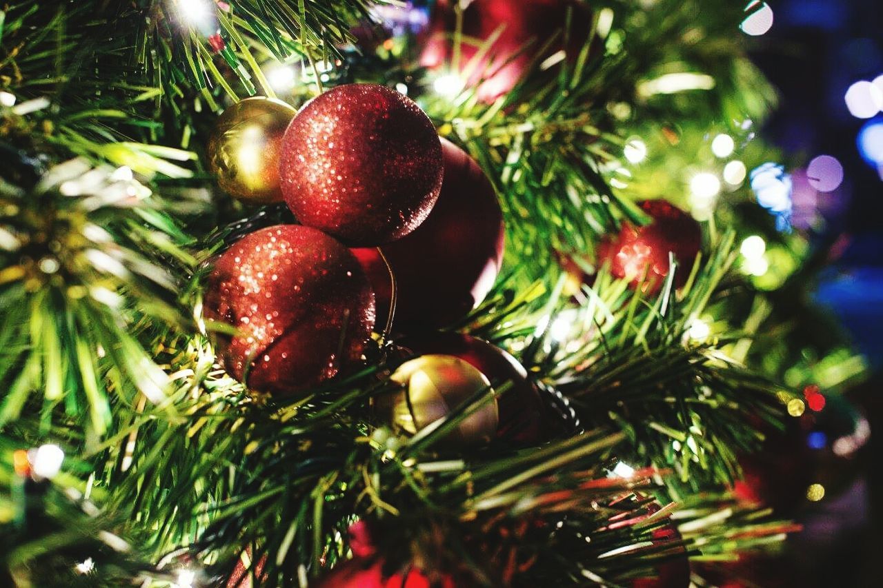 CLOSE-UP OF CHRISTMAS DECORATIONS HANGING ON TREE AT NIGHT