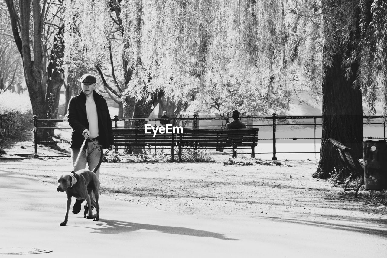 MAN WALKING WITH DOG ON FIELD