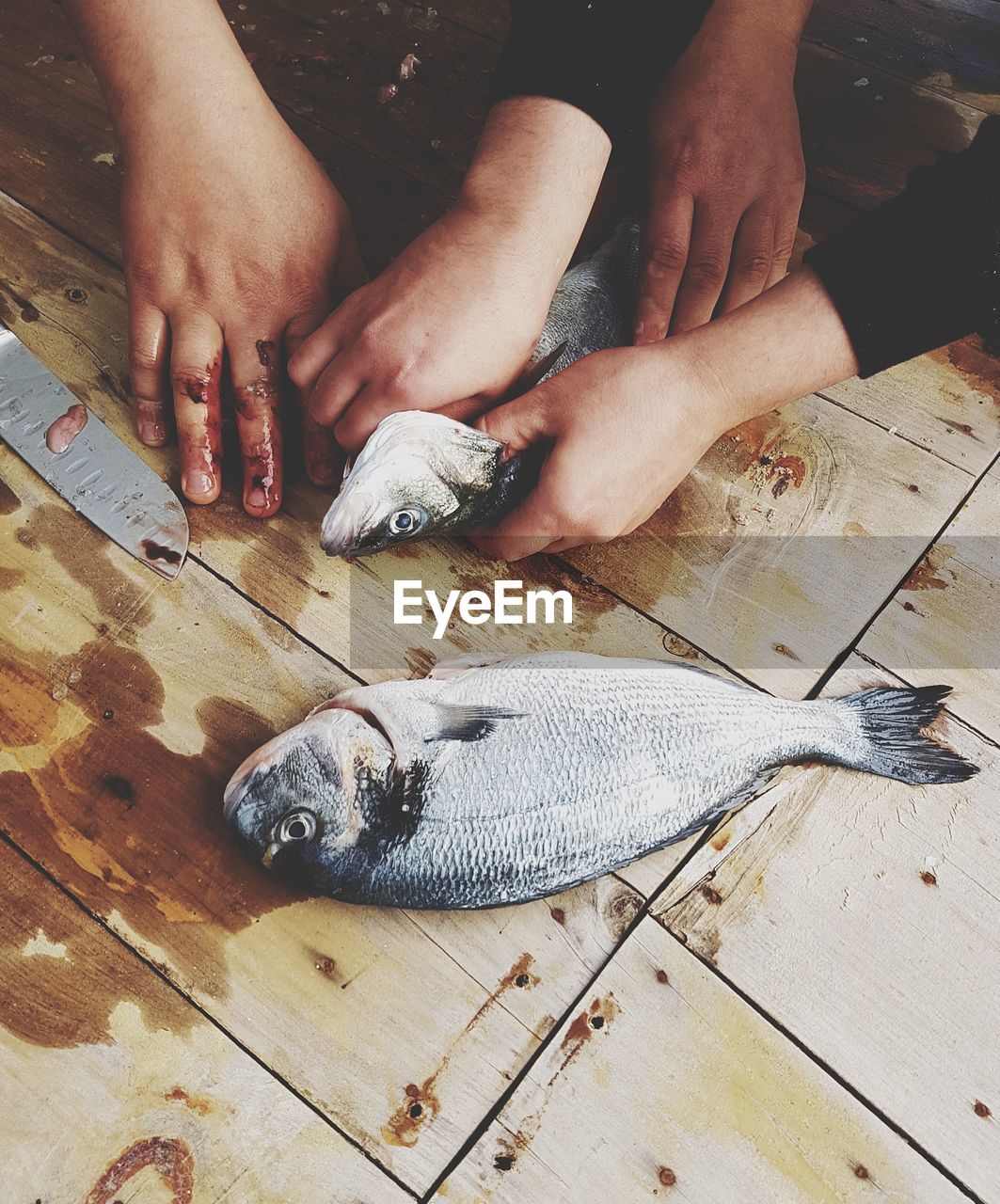 High angle view of people cutting fish