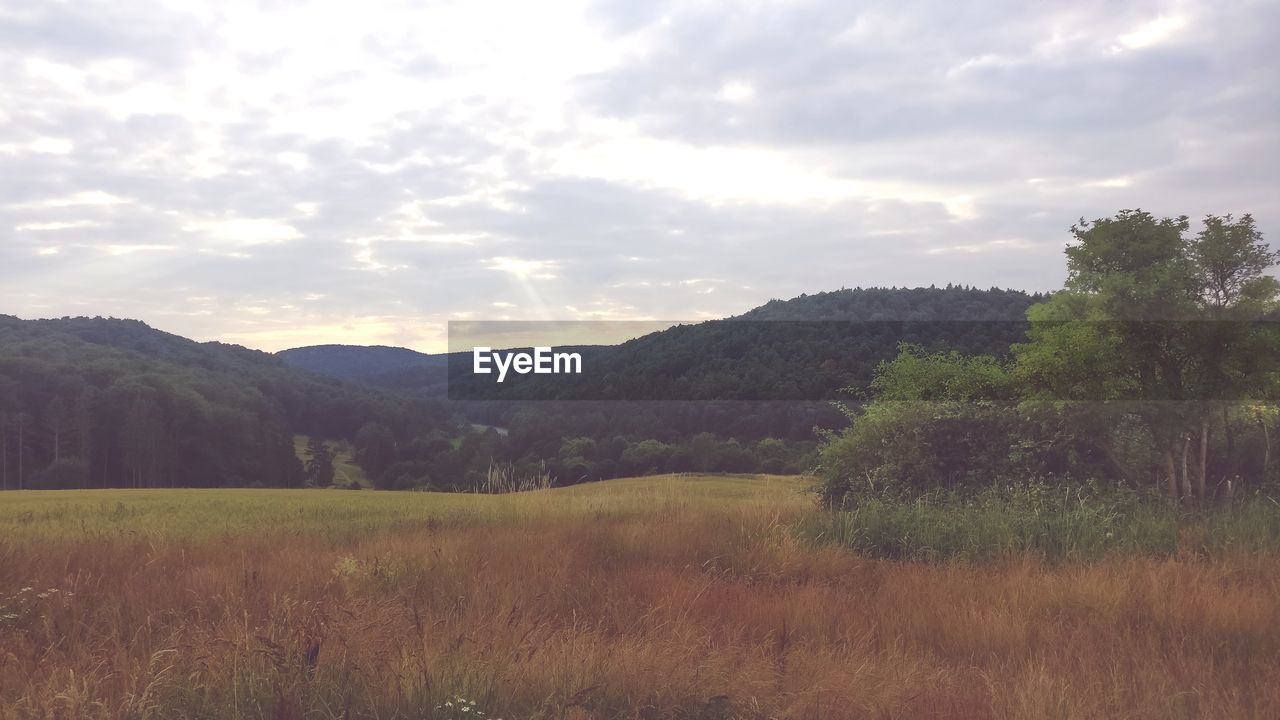 SCENIC VIEW OF LANDSCAPE AGAINST SKY DURING SUNSET