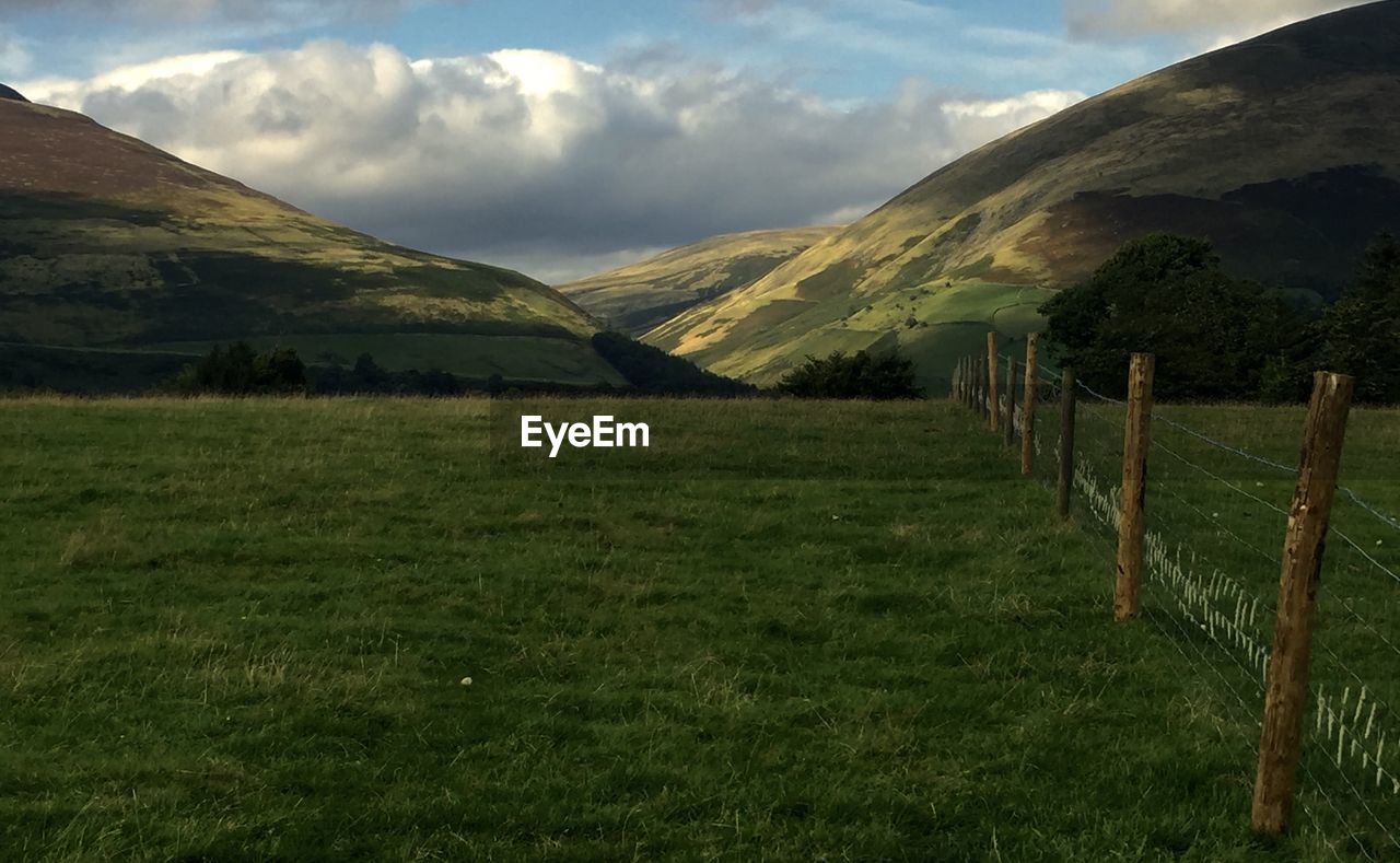 Scenic view of grassy field against sky