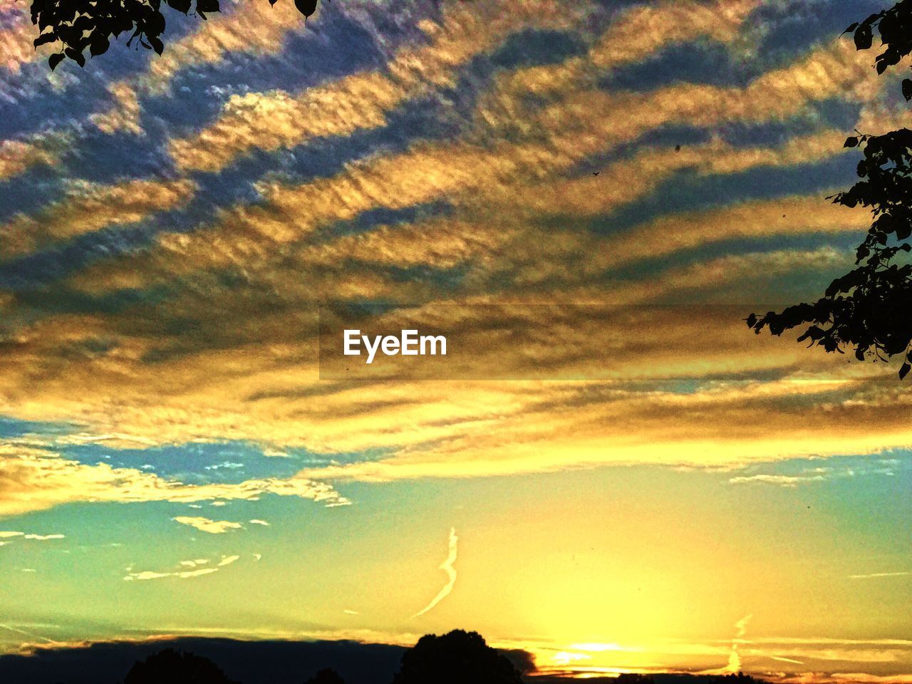 SCENIC VIEW OF DRAMATIC SKY OVER SILHOUETTE TREES