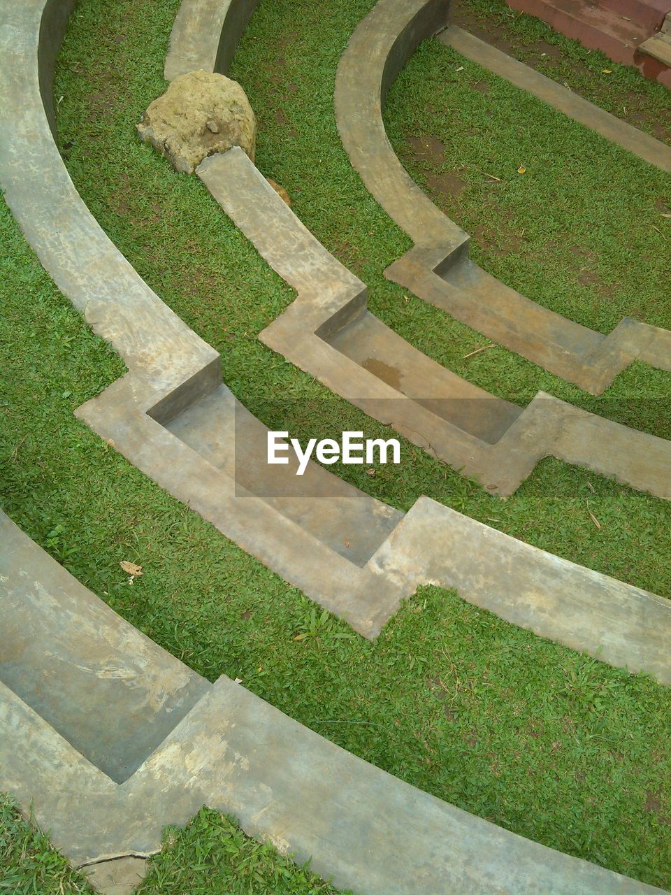 HIGH ANGLE VIEW OF GRASS AND TREES