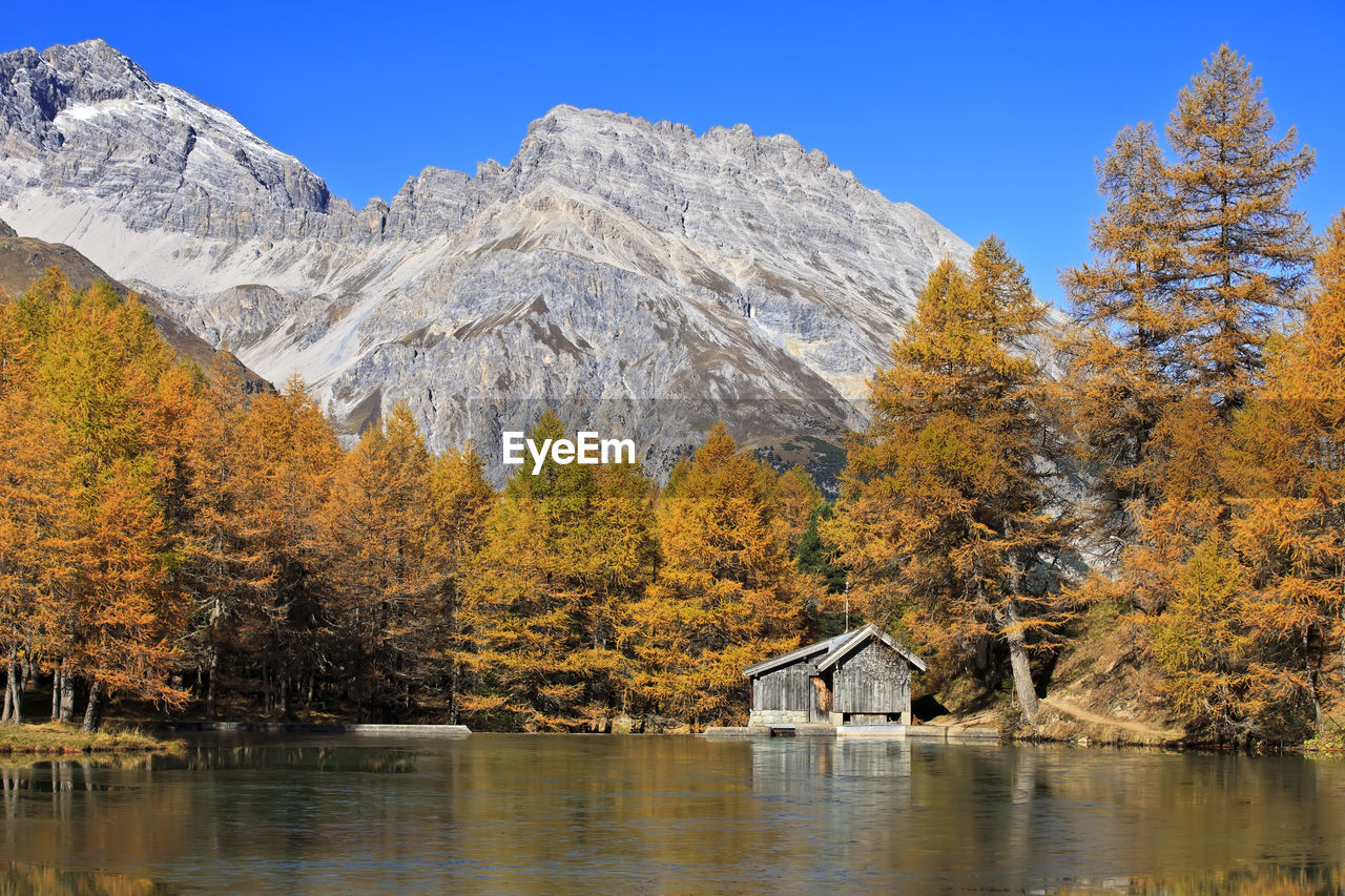 SCENIC VIEW OF LAKE AMIDST TREES DURING AUTUMN