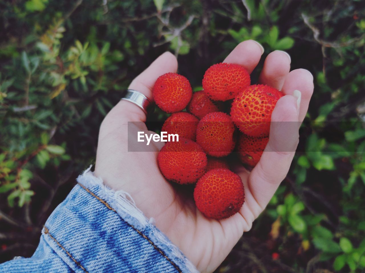 HIGH ANGLE VIEW OF HAND HOLDING STRAWBERRY