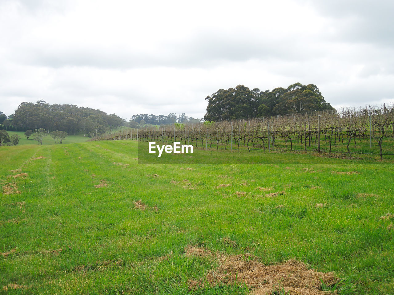 SCENIC VIEW OF LAND AGAINST SKY