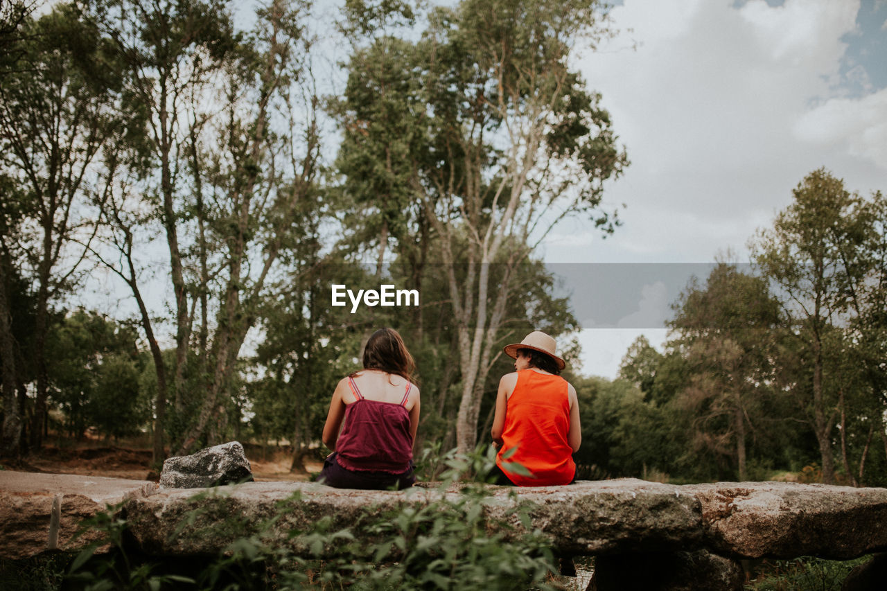 Rear view of female friends sitting against trees on retaining wall