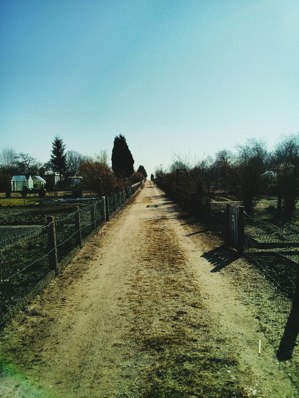 View of dirt road passing through field