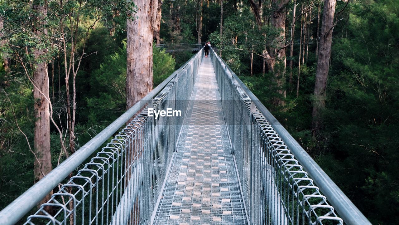 Footbridge at forest