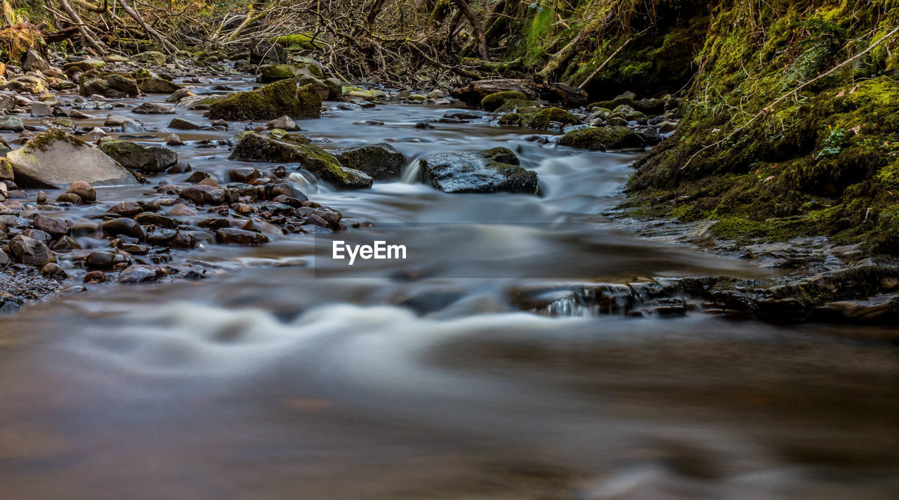 Surface level of stream flowing through rocks in forest