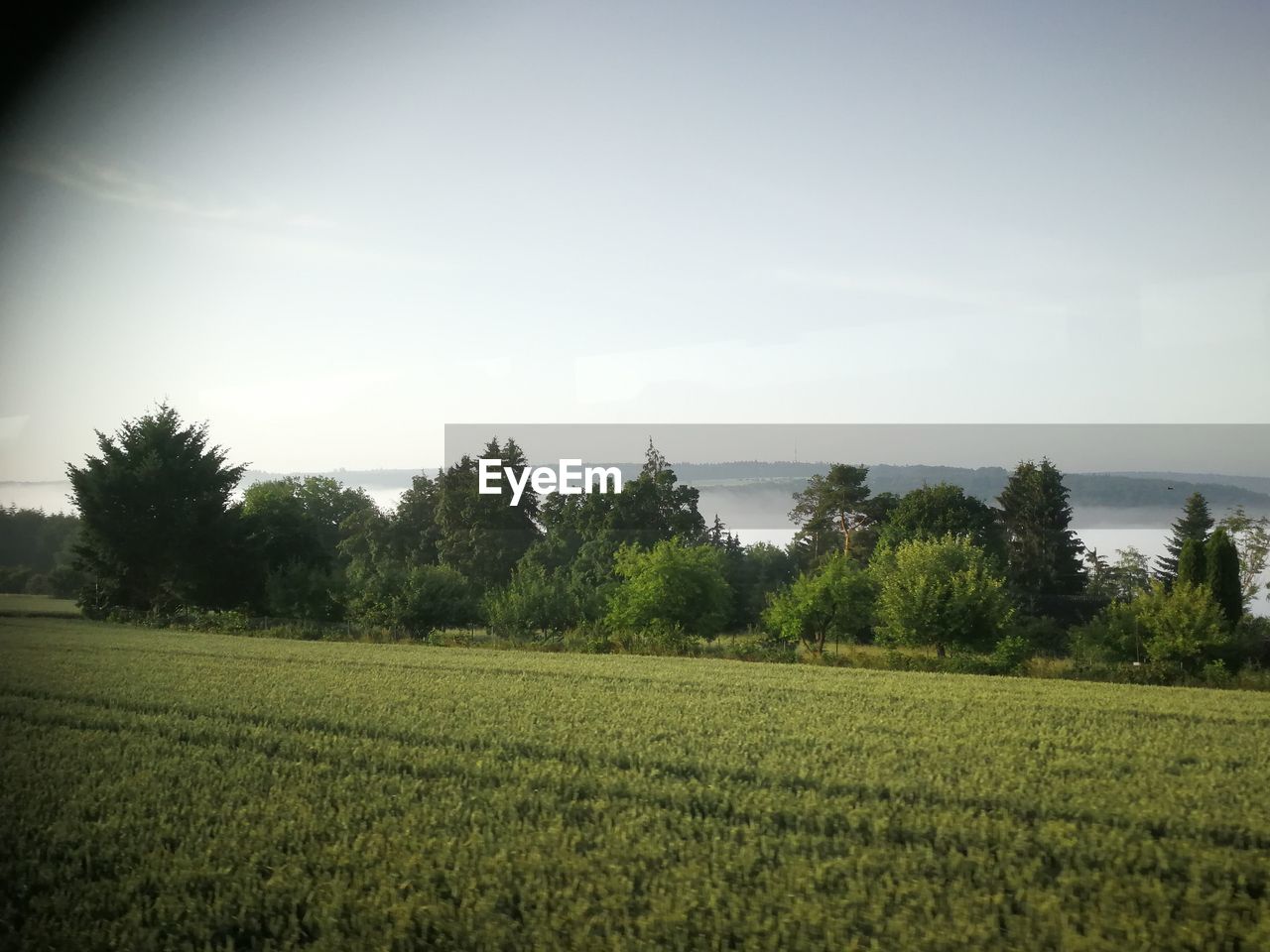 SCENIC VIEW OF FARMS AGAINST SKY