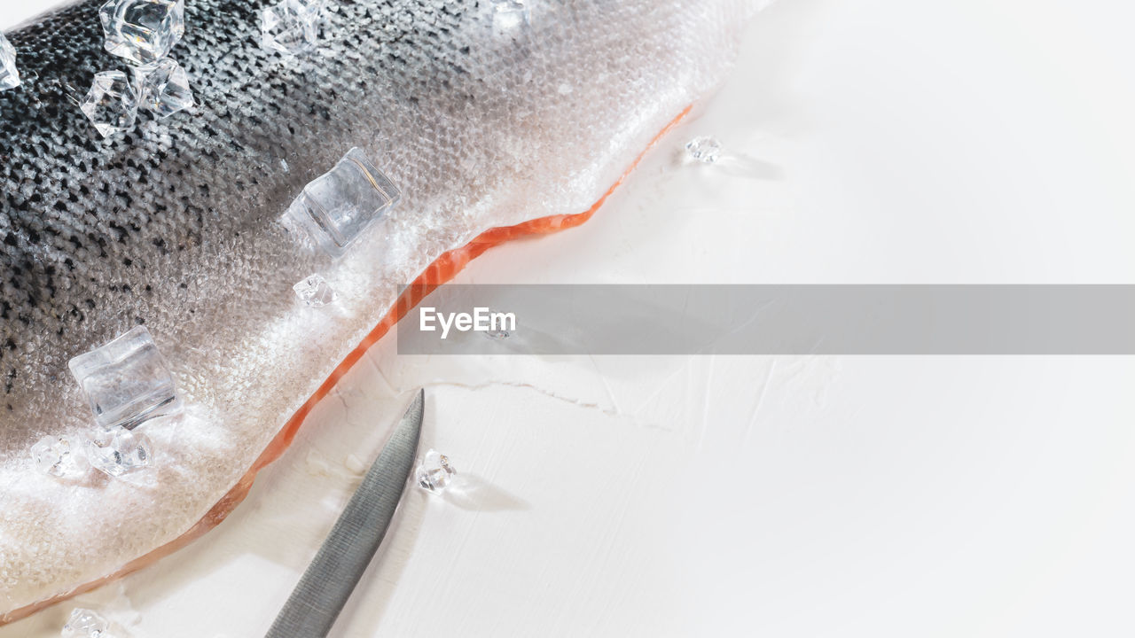 Fresh sea fish, raw salmon fillet with ice cubes and a knife on a white background with copy space