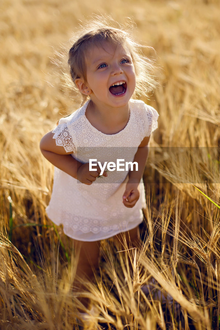 Little girl is happy on the field with ears in the evening sunset in summer.