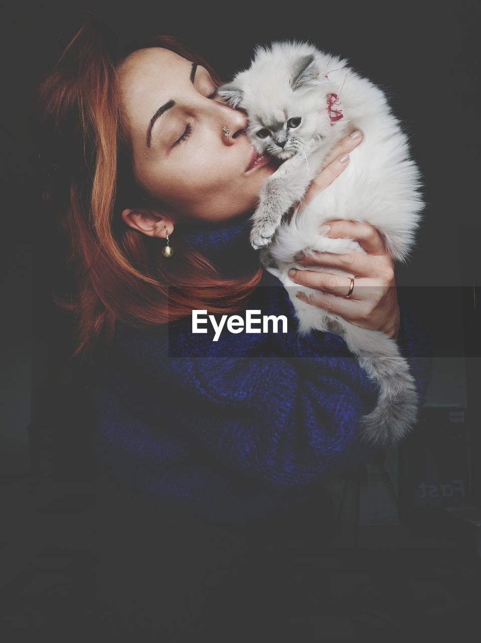 Close-up of woman kissing cat
