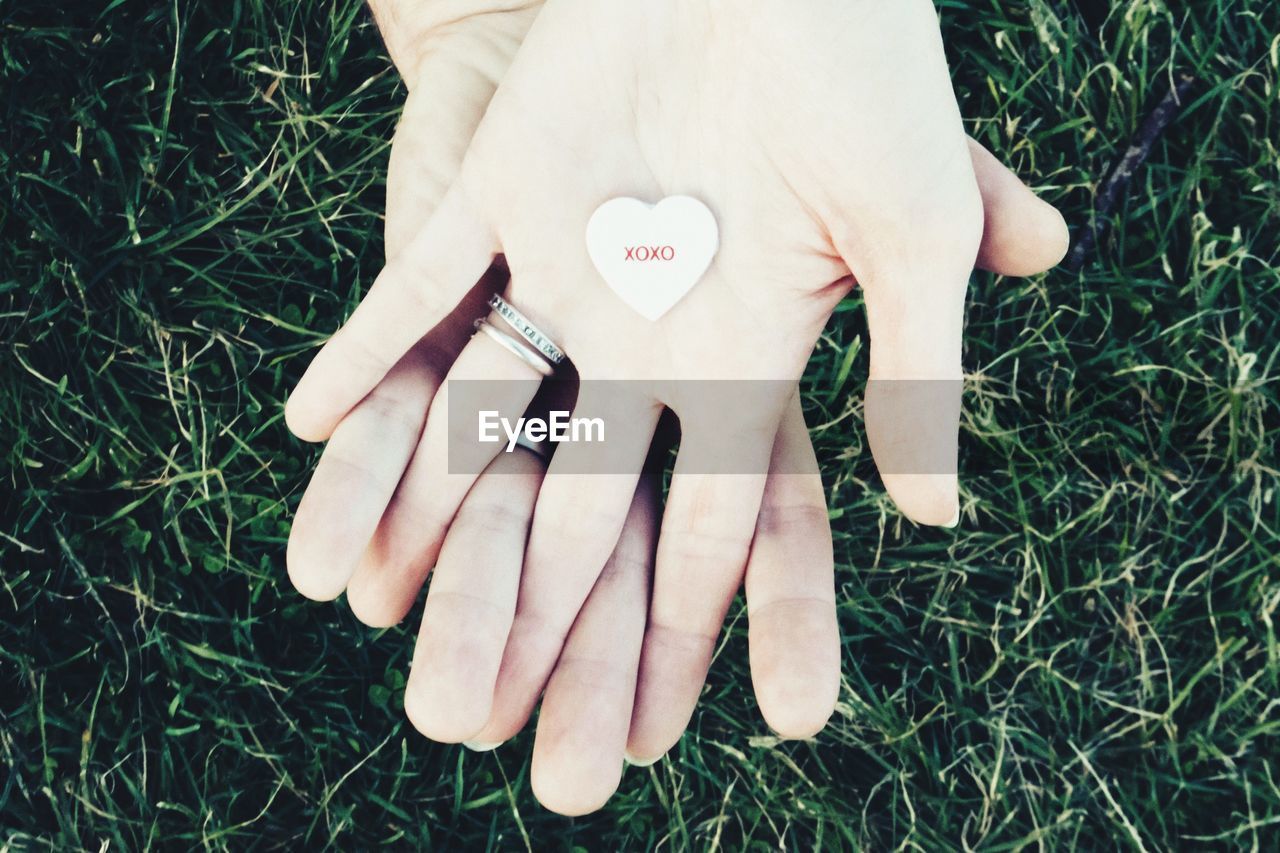 Cropped hands of people holding heart shape object over grass field