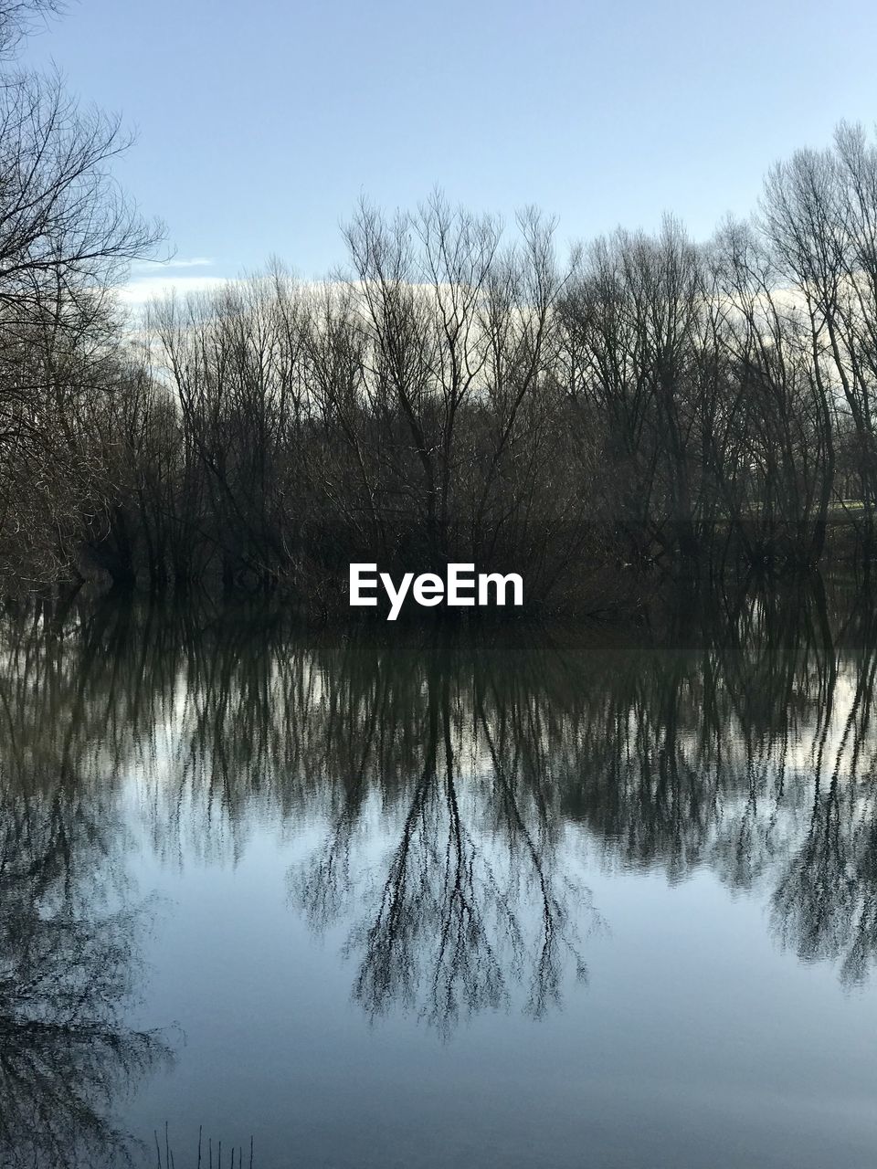 REFLECTION OF TREES IN LAKE AGAINST SKY