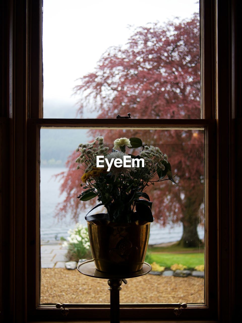 FLOWERS IN WINDOW SILL