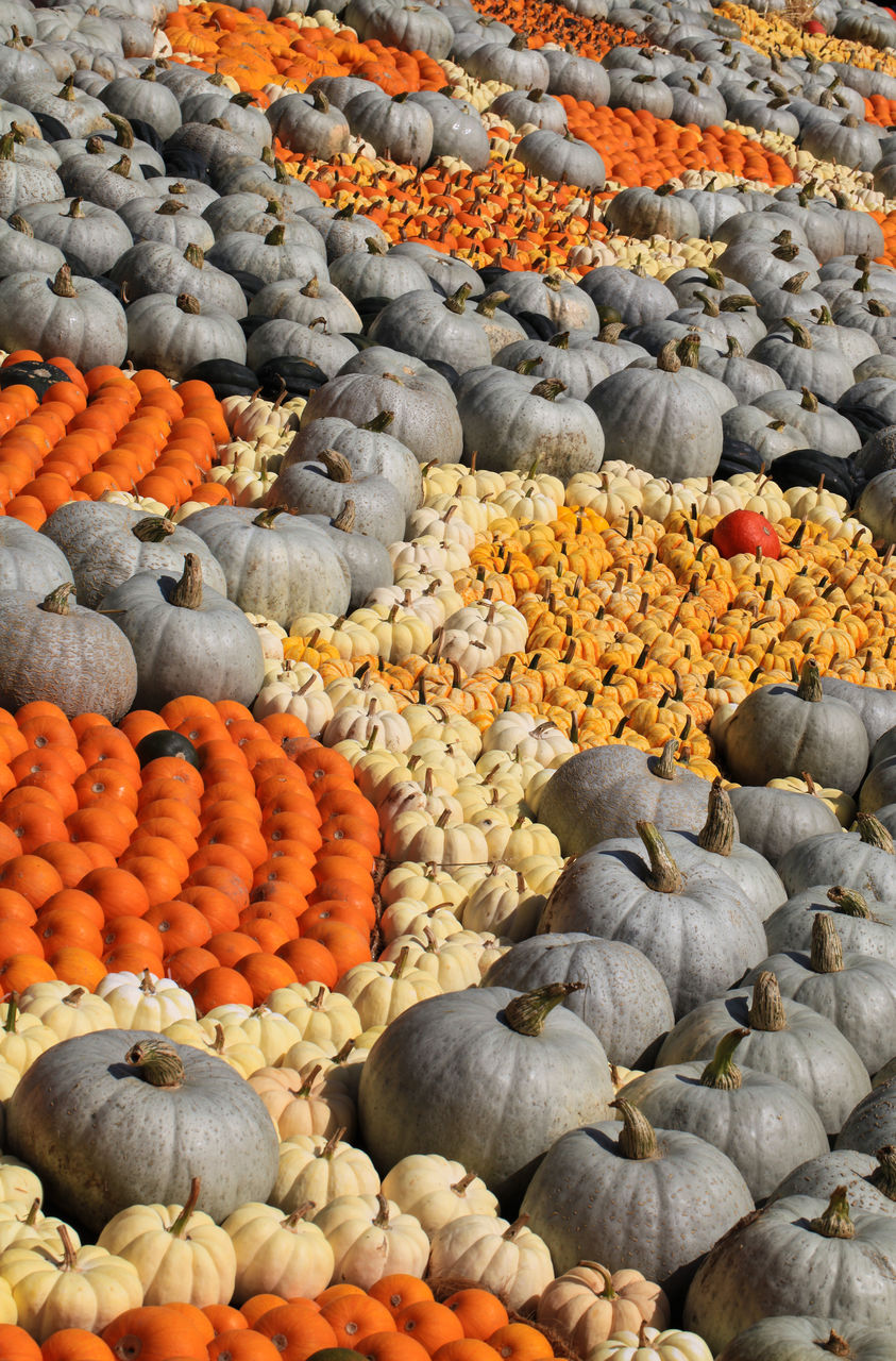 HIGH ANGLE VIEW OF PEBBLES IN MARKET STALL