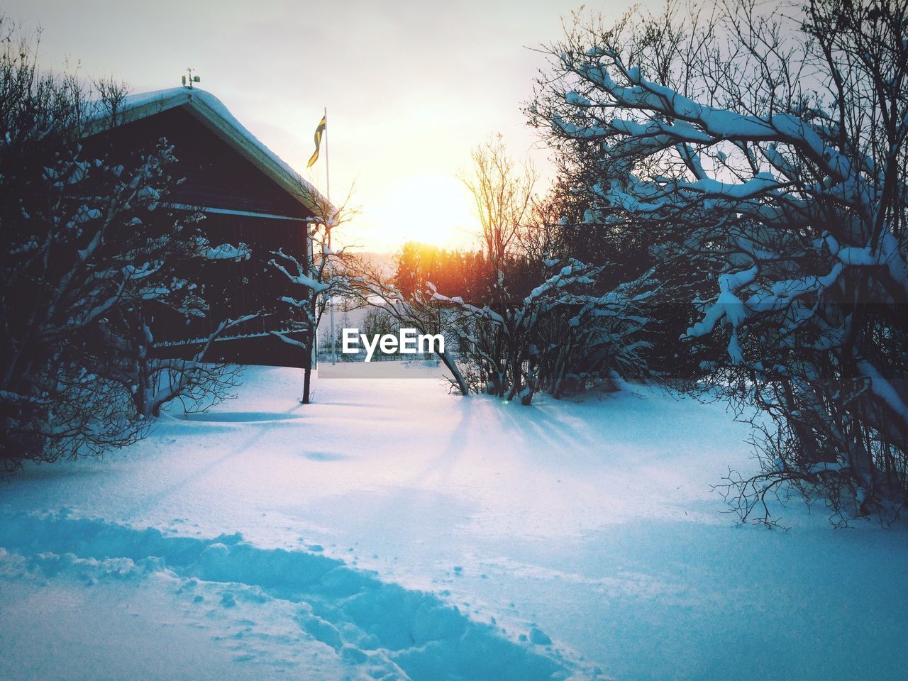 Bare trees and house on snow covered field during sunset