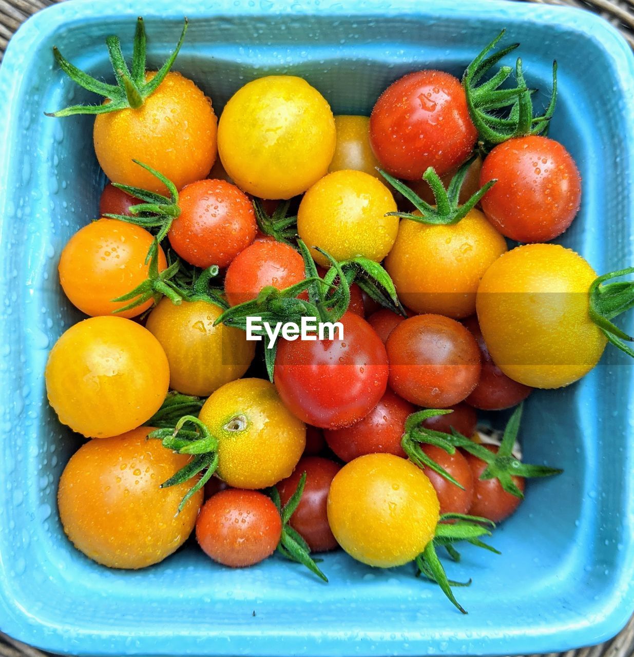 Garden fresh tomatoes