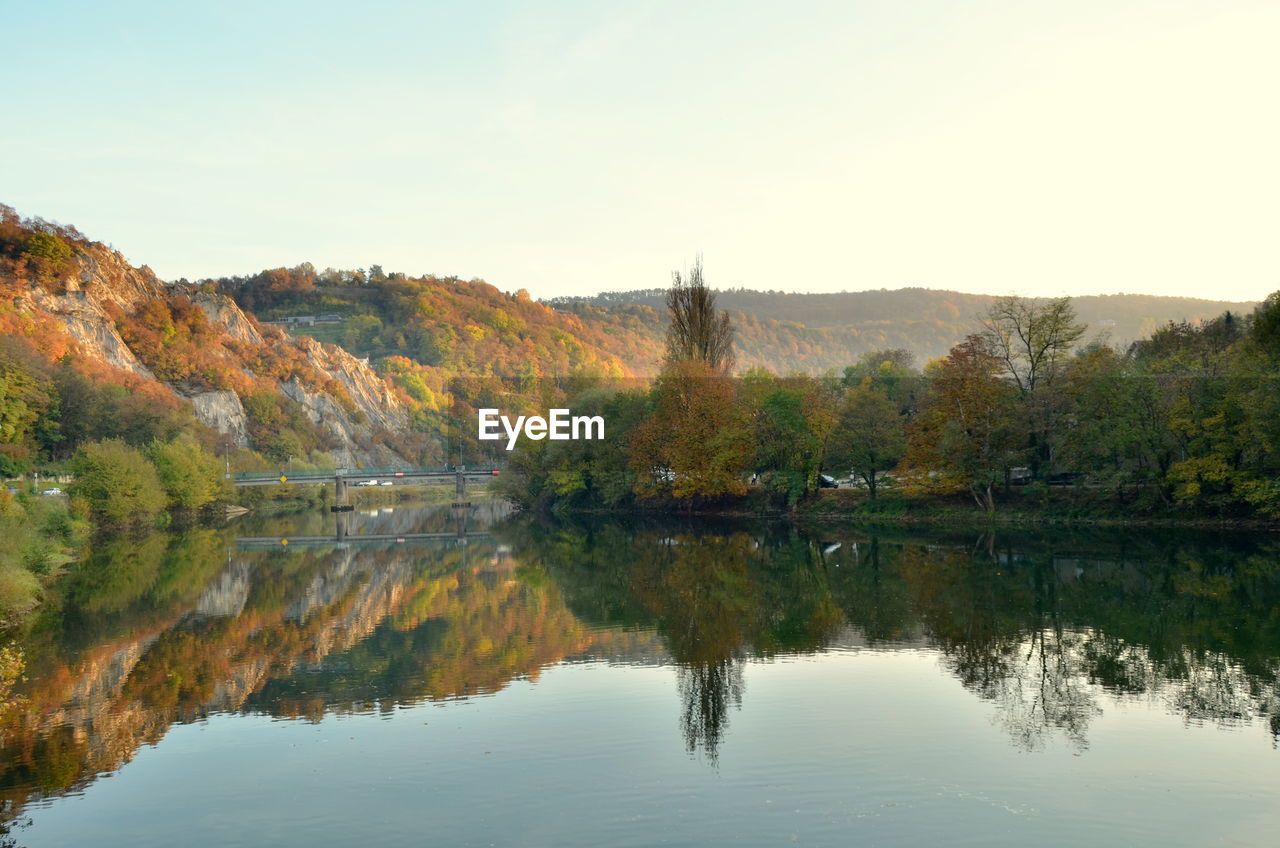 Reflection of trees in calm lake