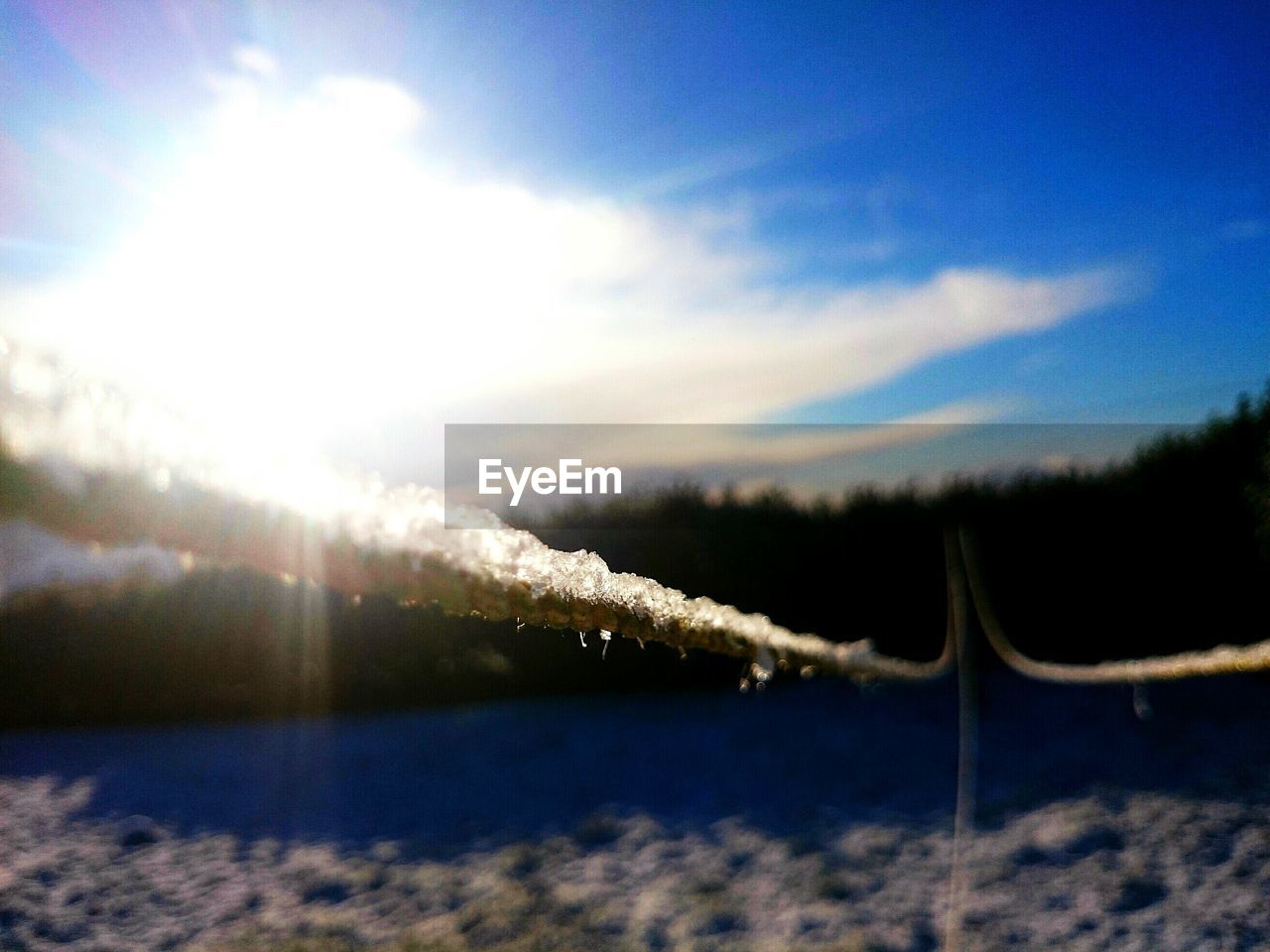 Close-up of frozen rope against bright sun during winter