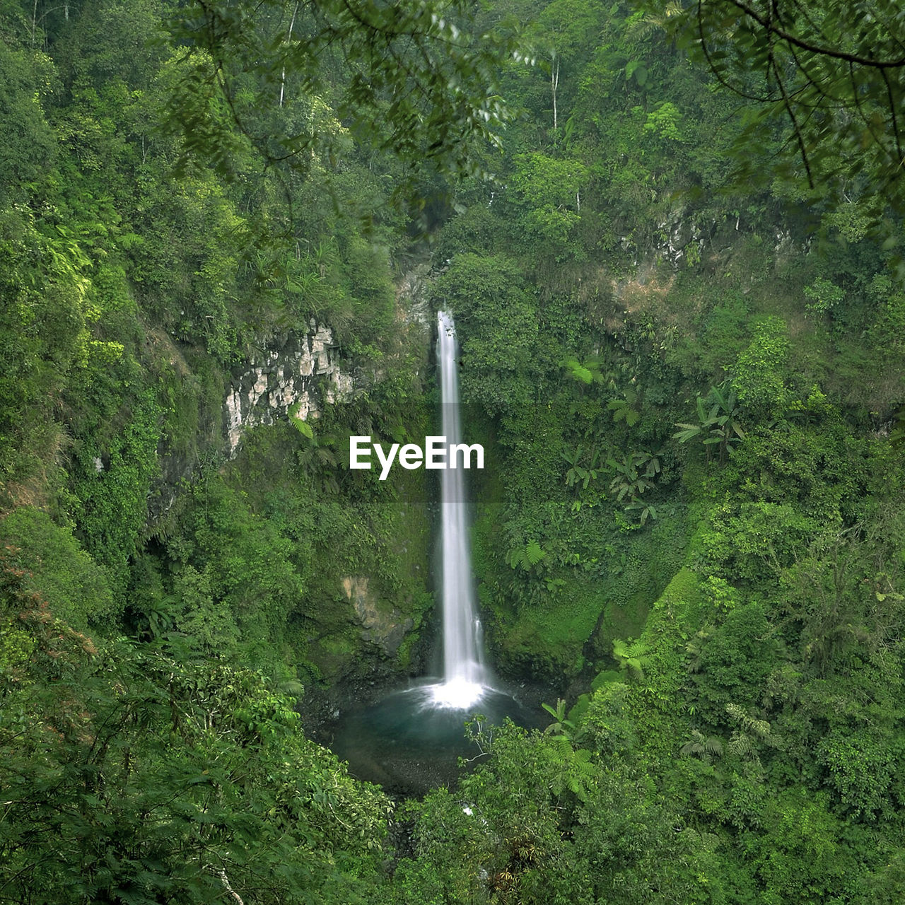 SCENIC VIEW OF WATERFALL AGAINST TREES IN FOREST