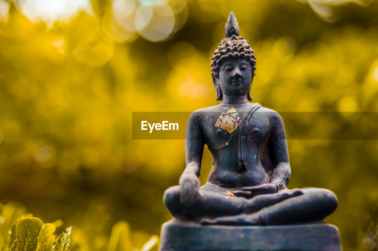 Close-up of buddha statue