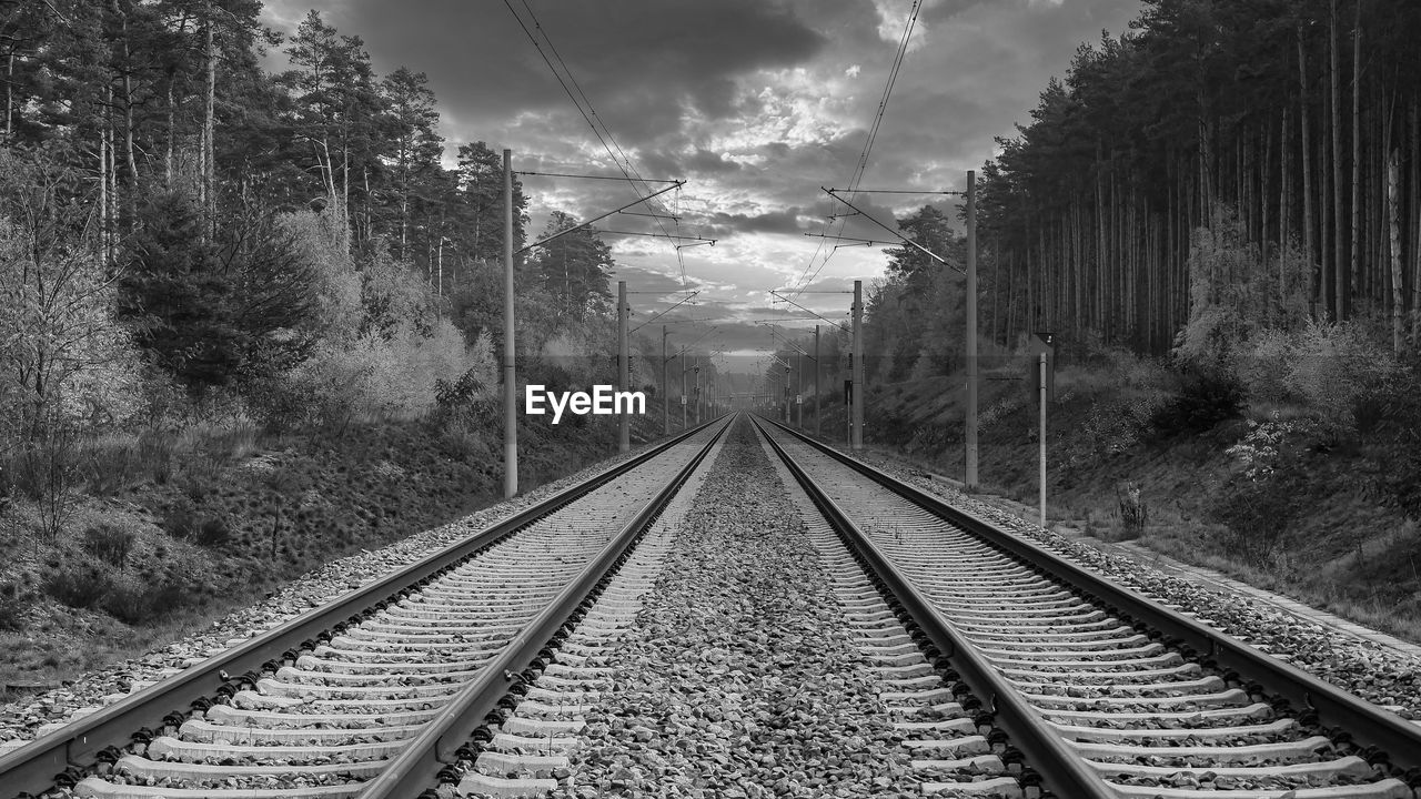 railroad track, track, rail transportation, transportation, the way forward, vanishing point, tree, plant, diminishing perspective, nature, transport, black and white, sky, railway, no people, monochrome, cloud, mode of transportation, monochrome photography, travel, public transportation, vehicle, day, outdoors, land, cable