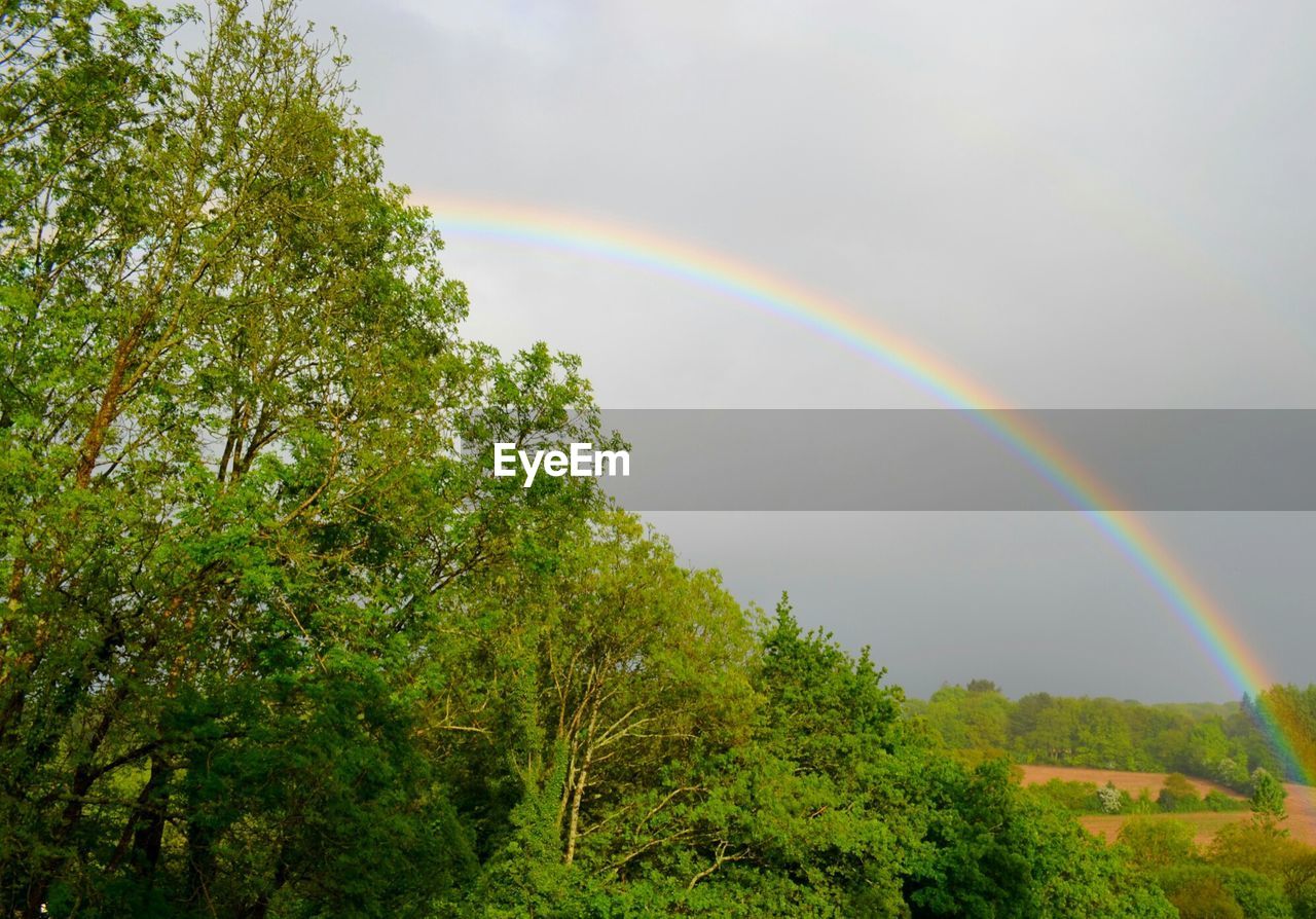 View of rainbow over countryside landscape