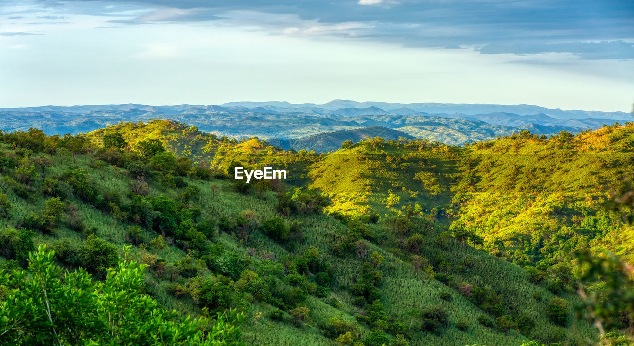 SCENIC VIEW OF LANDSCAPE