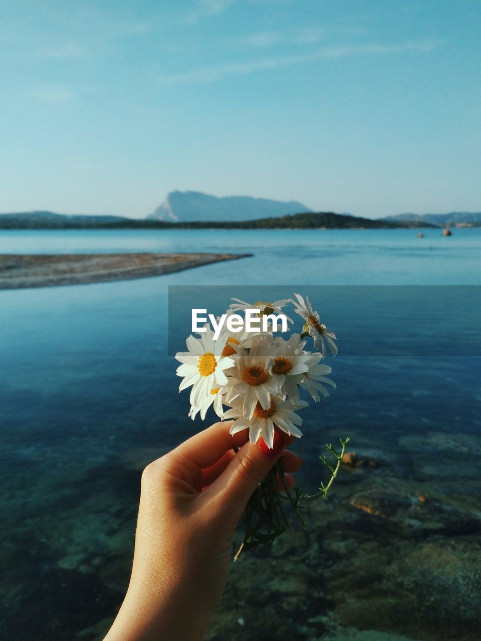 CLOSE-UP OF HAND HOLDING FLOWER AT SEA