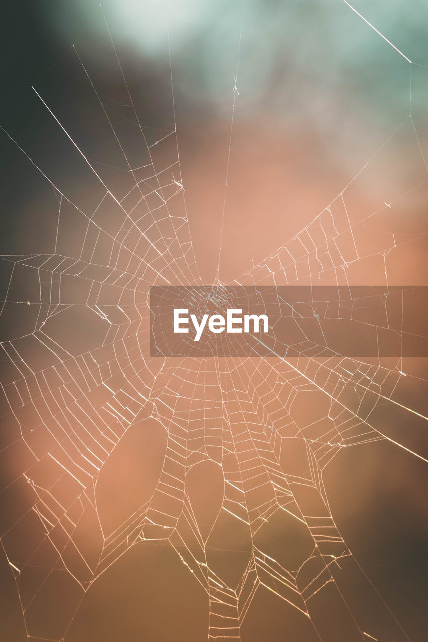 A spider web with a warm background, or maybe a broken display