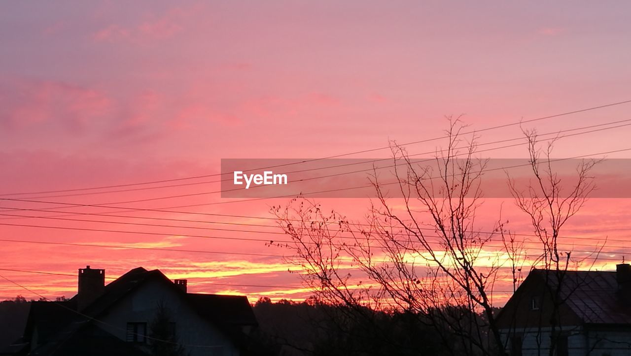 LOW ANGLE VIEW OF SILHOUETTE TREE AND HOUSE AGAINST SKY