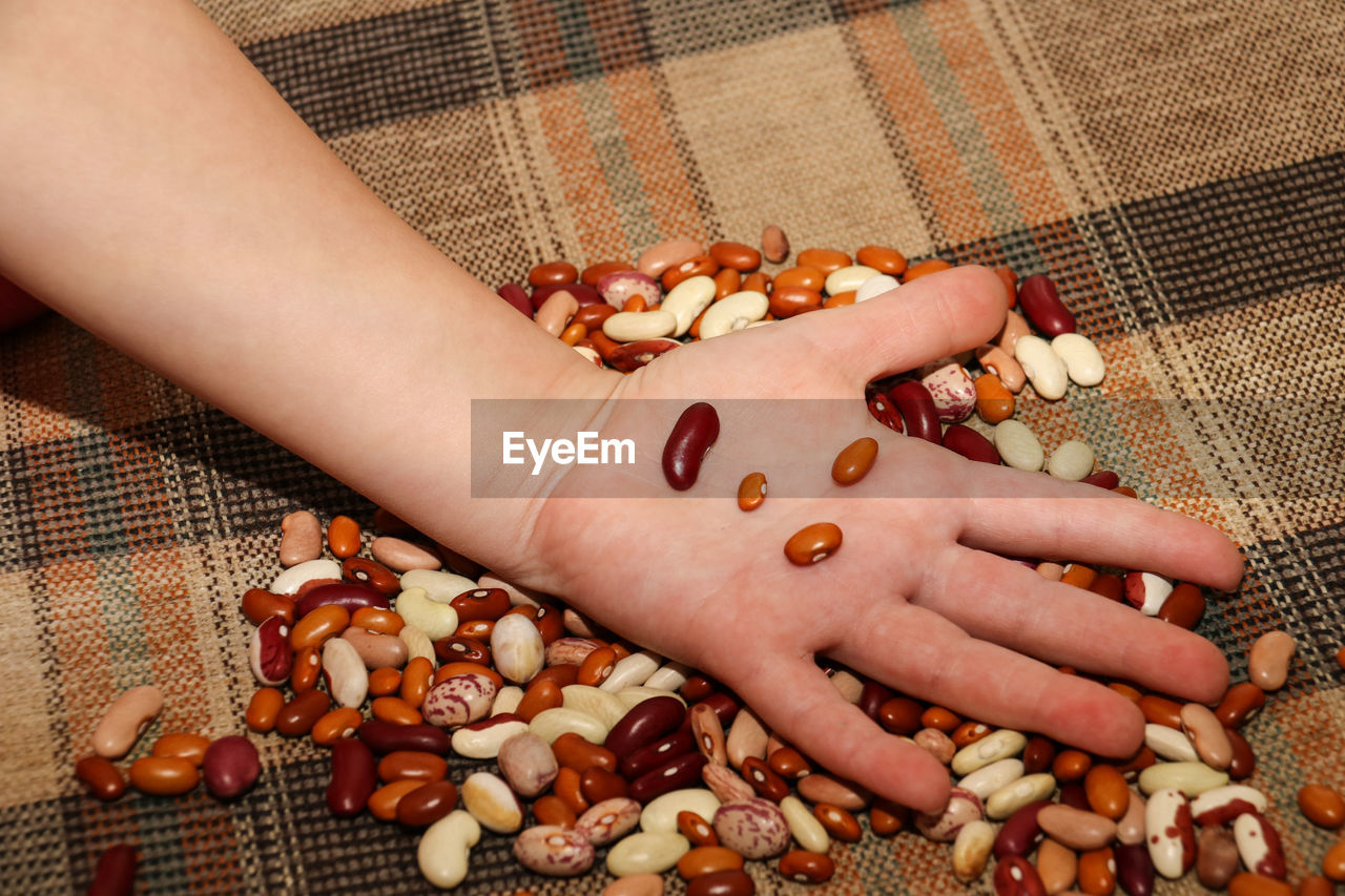 Cropped hand of person holding nut food on table
