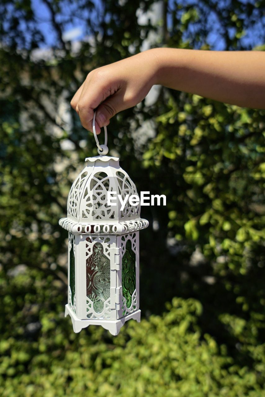 Close-up of hand holding lantern against trees