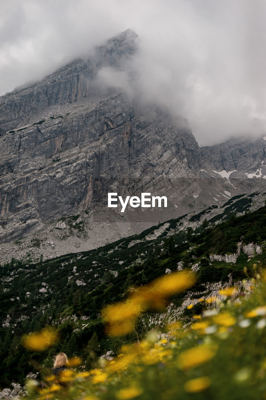 Plants and mountain against sky