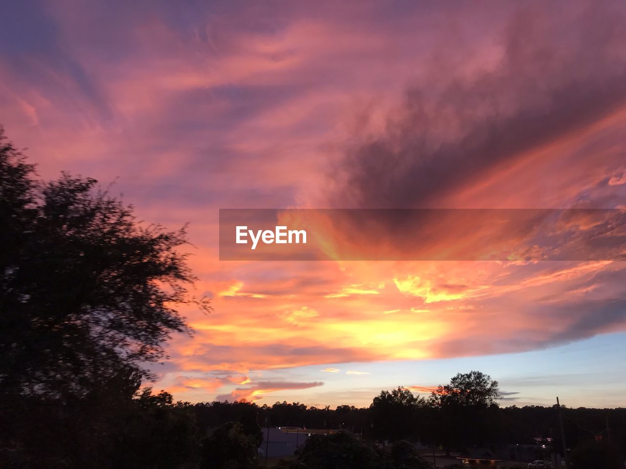 SILHOUETTE TREES AGAINST DRAMATIC SKY DURING SUNSET